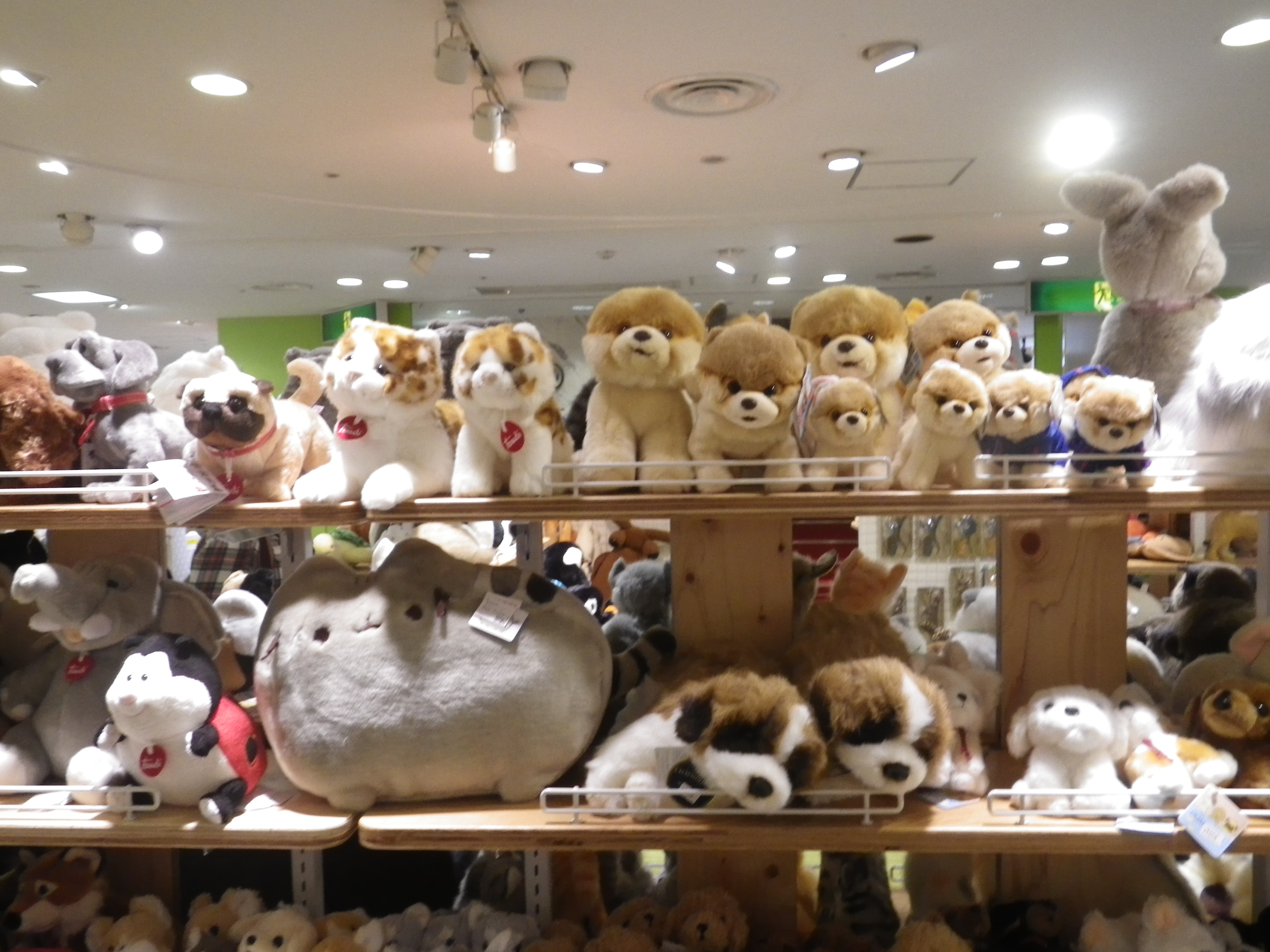 BLOG 7月29日 | Pusheen cat & BOOの売り場のご紹介です。 | GUND